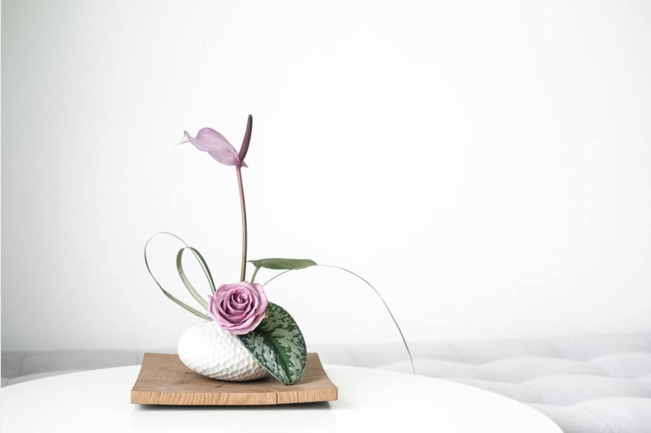 Chabana là gì? Hành trình từ Ikebana đến nghệ thuật hoa trà Chabana