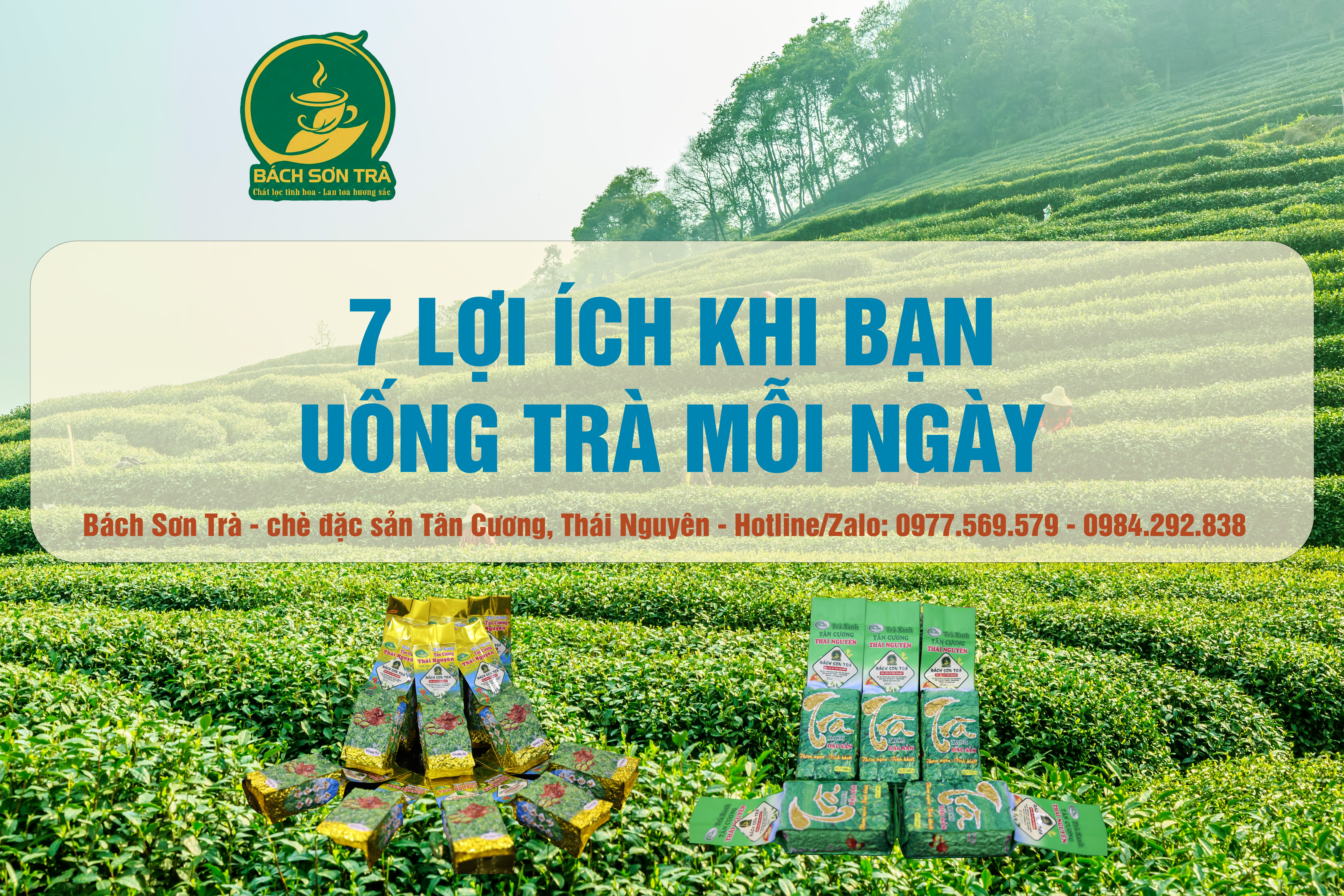 7 lợi ích khi uống trà mỗi ngày