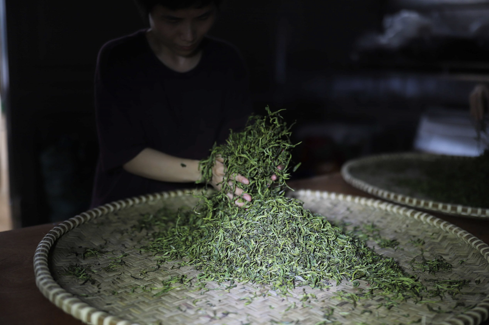 Tại sao trà được sản xuất thủ công lại có chất lượng vượt trội?
